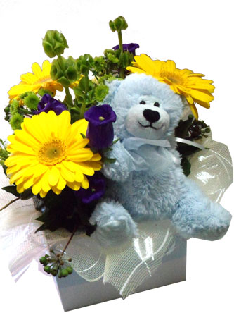 New Baby Boy Flowers and Gift